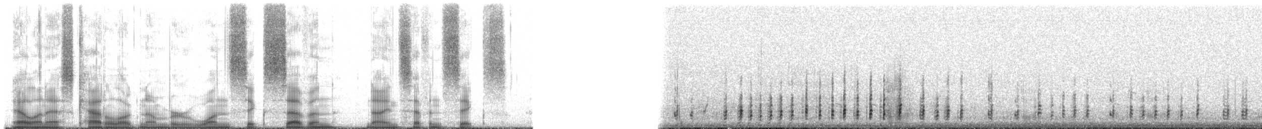 Andean Goose - ML167976