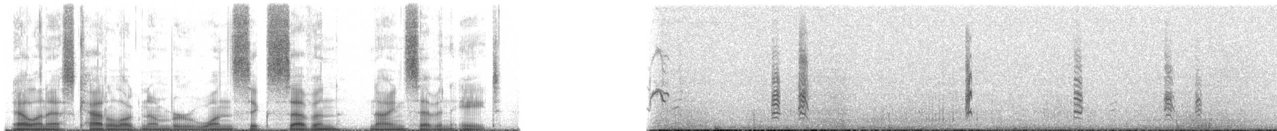 Black Siskin - ML167978