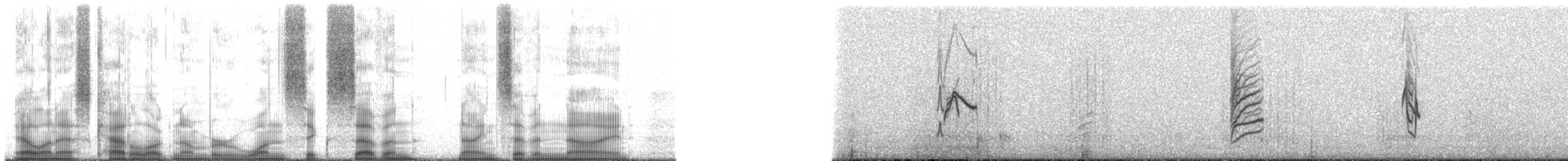 Schwarzzeisig - ML167979