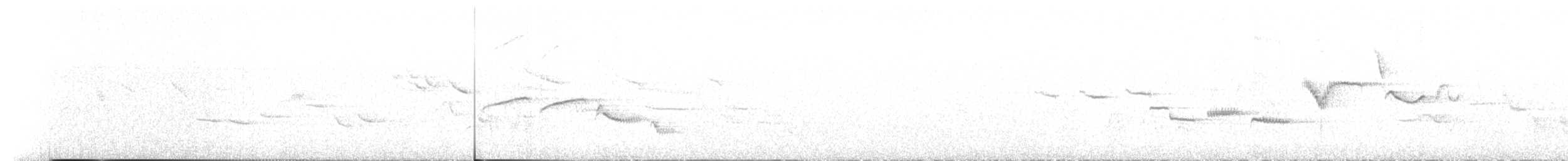 Weißbauchschmätzer - ML167979411