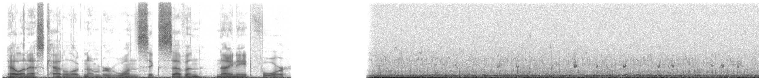 Giant Coot - ML167984