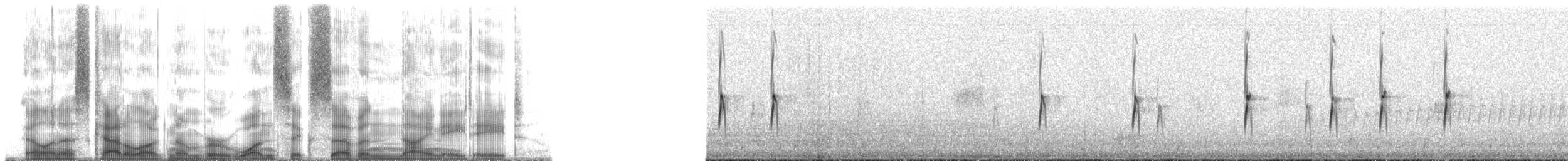 Cordilleran Canastero - ML167988