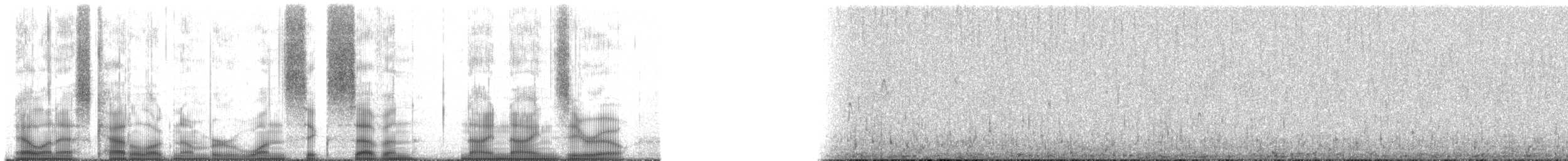 cinclodes sp. - ML167990