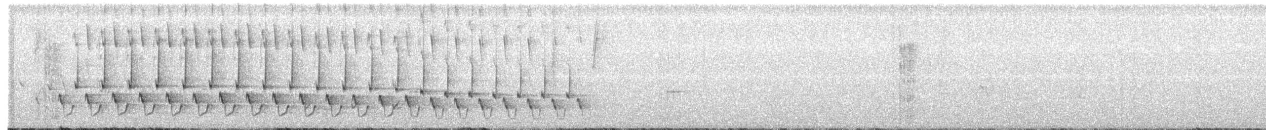 ショウジョウコウカンチョウ - ML167990521