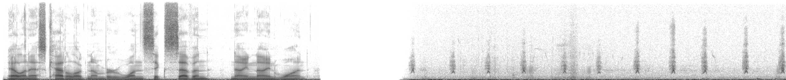 Crested Duck - ML167991