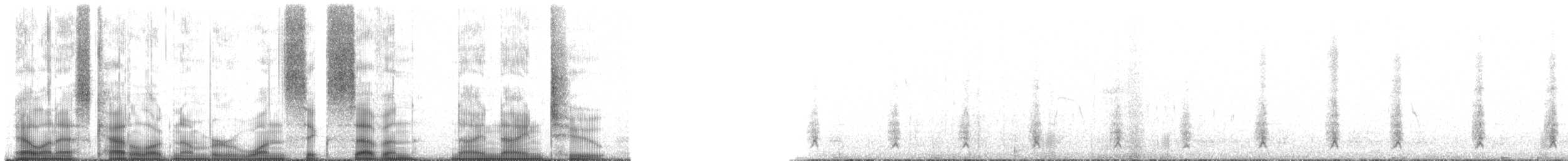 Andean Gull - ML167992