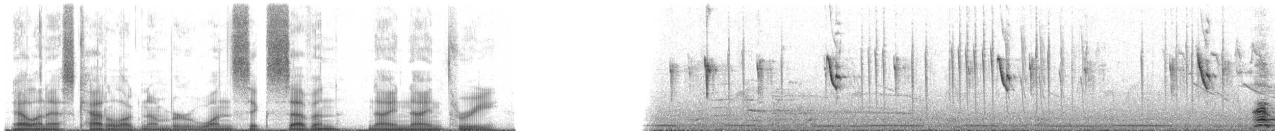 Colibri vesper - ML167993