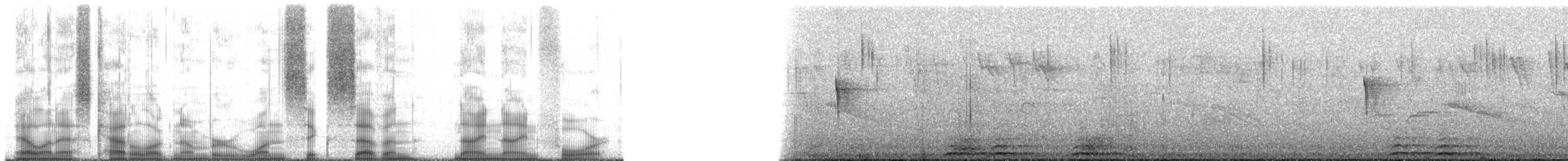 Chilean Woodstar - ML167994