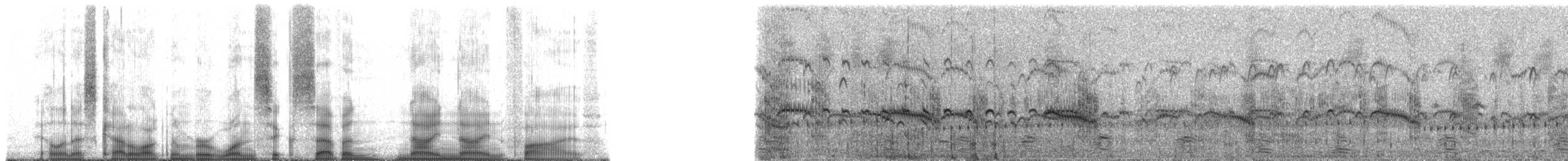 Arctic Tern - ML167995