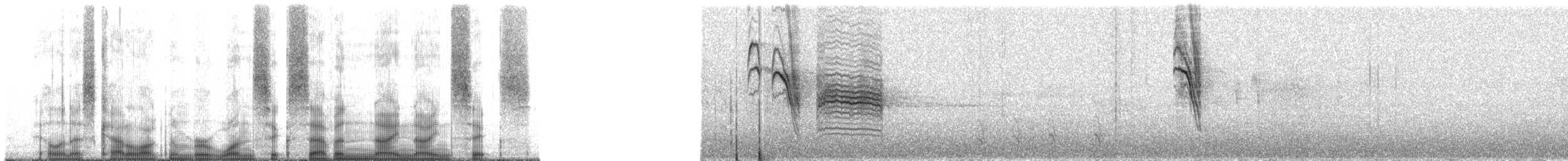 Boreal Chickadee - ML167996