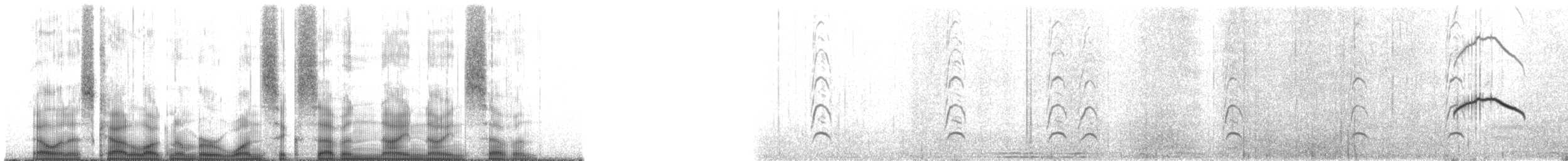 Hudsonian Godwit - ML167997