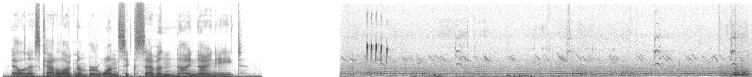Smith's Longspur - ML167998