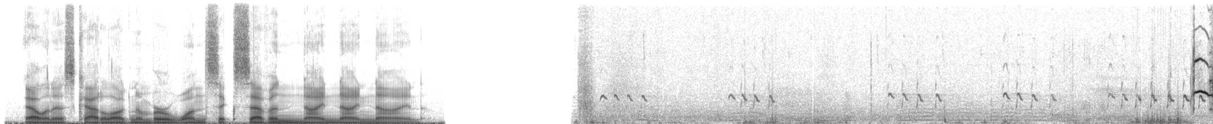 Hudsonian Whimbrel - ML167999