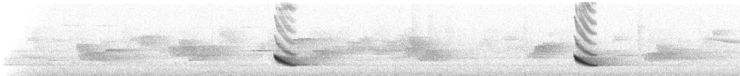 Veery - ML168069081