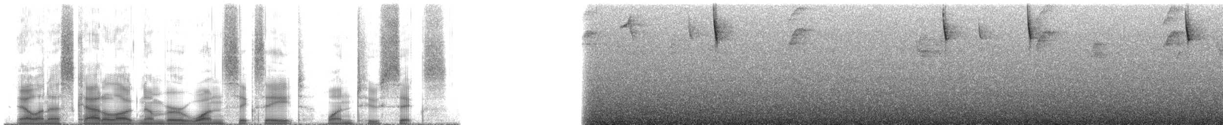 Safran Başlı Tangara - ML168126
