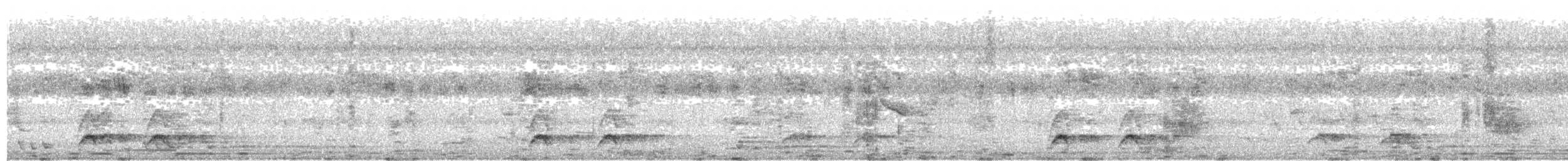 Batılı Kara Başlı Pitta (cucullata) - ML168136661