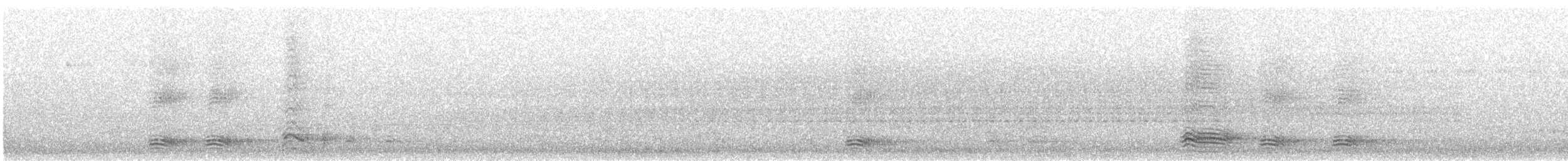 Cuervo Pescador - ML168161151
