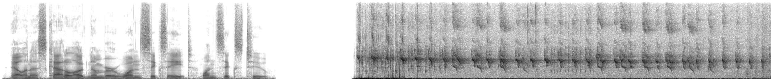 Cacholote uni - ML168162