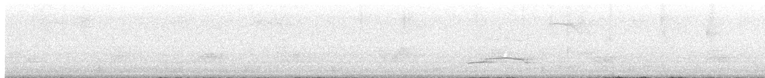 orel bělohlavý - ML168173381