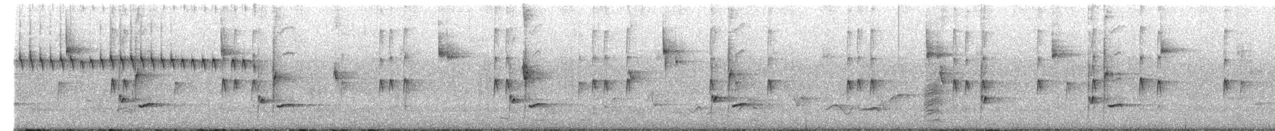 ロッキースズメフクロウ（gnoma） - ML168176991