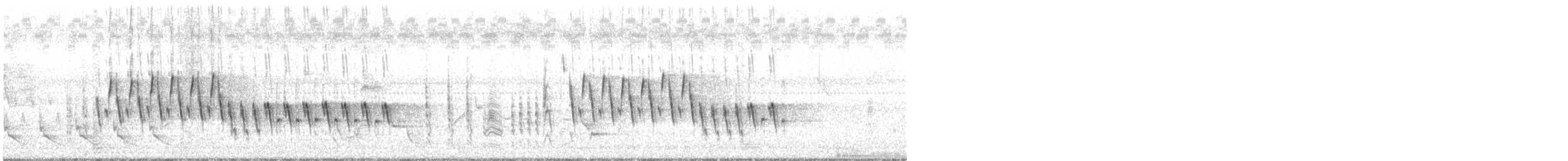 Northern House Wren - ML168179211