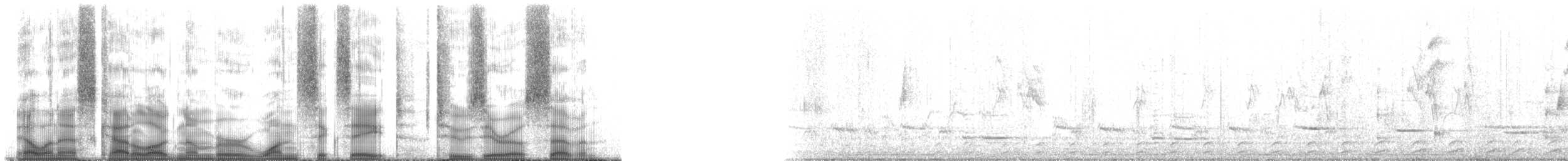 perlička kropenatá [skupina mitratus] - ML168207