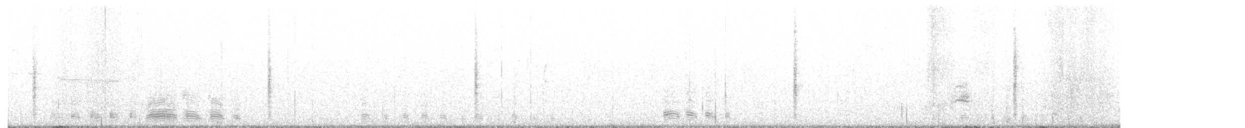Бор галуу - ML168207221