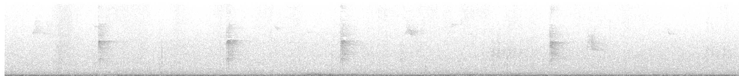 Цоохор тоншуул - ML168209481