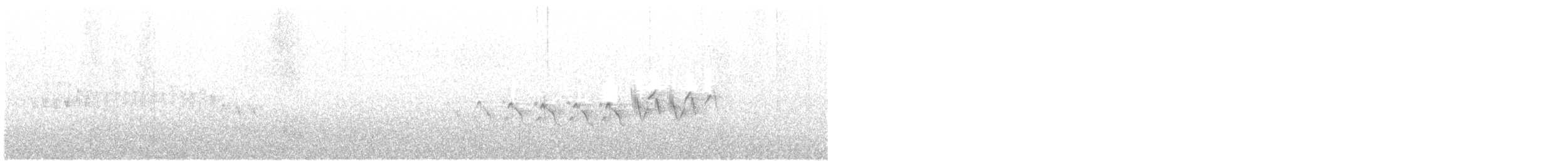 Миртовый певун (auduboni) - ML168212431