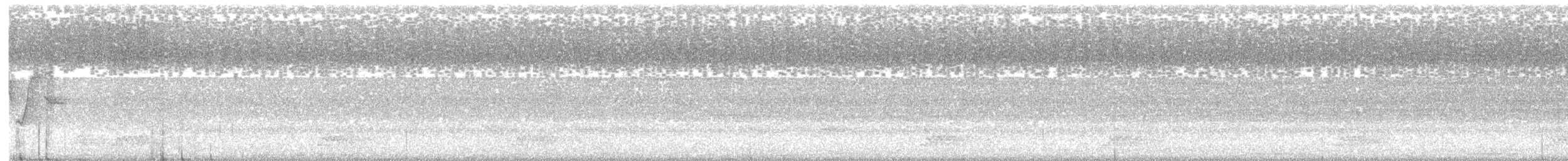 Hooded Warbler - ML168236441