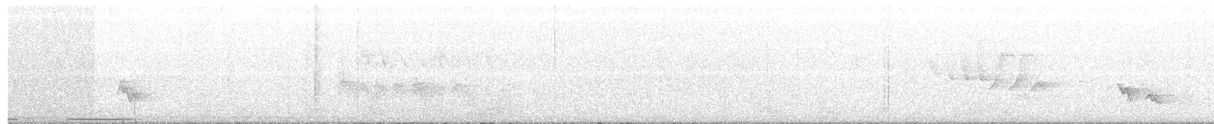 holub karibský - ML168238151