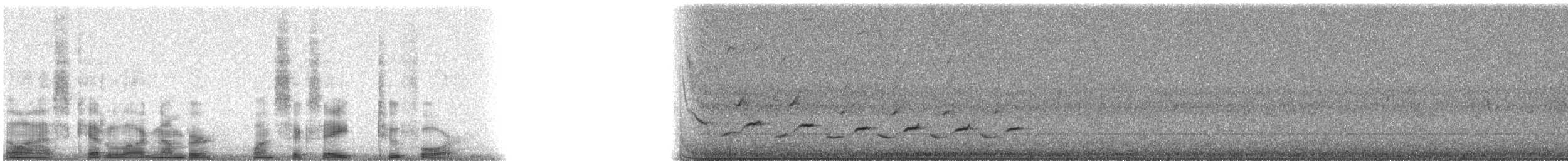 kardinál červený - ML16824