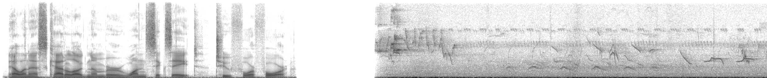 papoušek žlutotemenný - ML168244