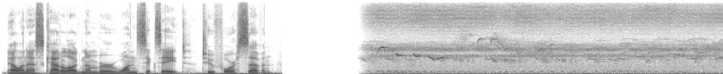 frankolín natalský - ML168247