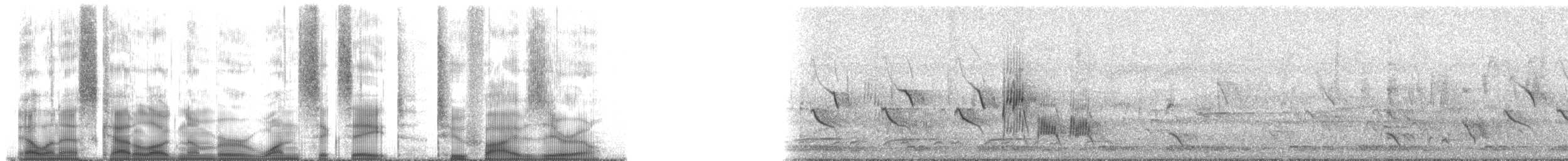 frankolín natalský - ML168250