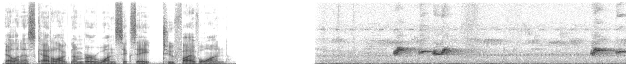 bulbul zahradní [skupina tricolor] - ML168251