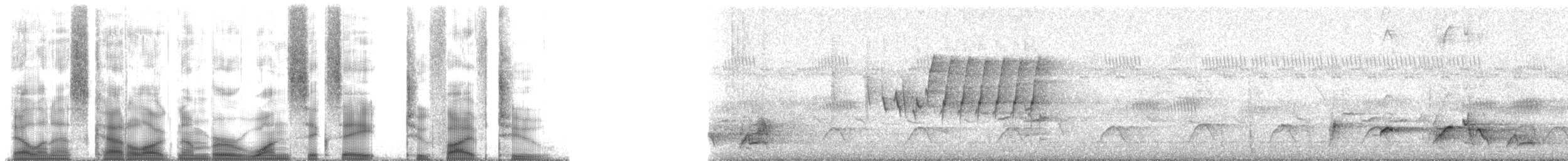 bulbul zahradní [skupina tricolor] - ML168252