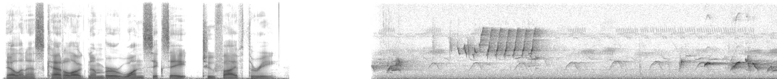 strdimil bělobřichý - ML168253