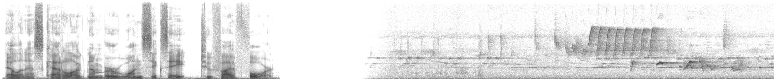 Helmeted Guineafowl (Tufted) - ML168254