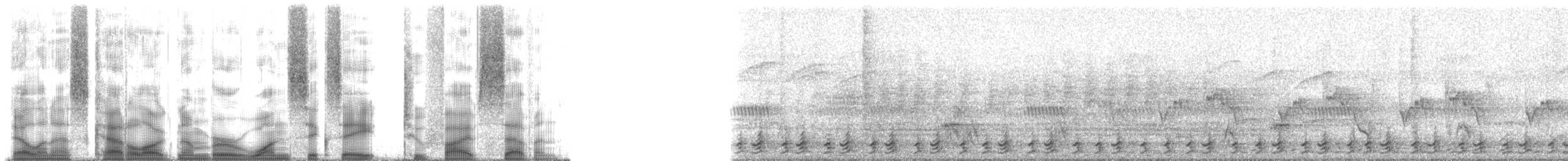 Southern Yellow-billed Hornbill - ML168257