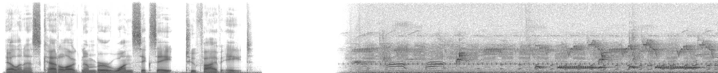 hrdlička límečková - ML168258