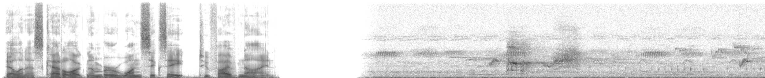 vousáček chocholatý - ML168259