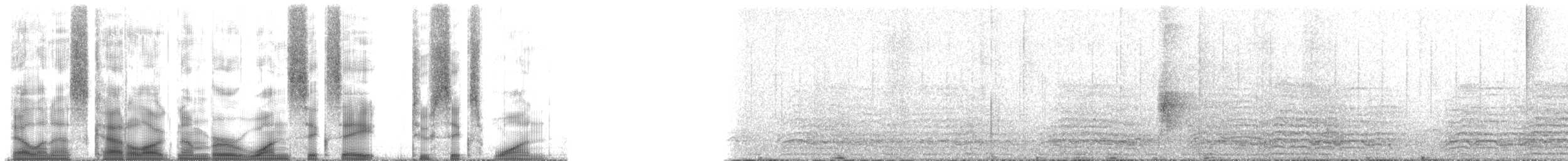 ibis hagedaš - ML168261