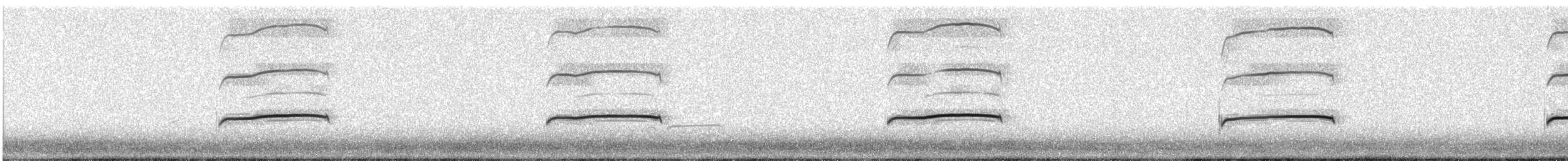 太平洋金斑鴴 - ML168261351