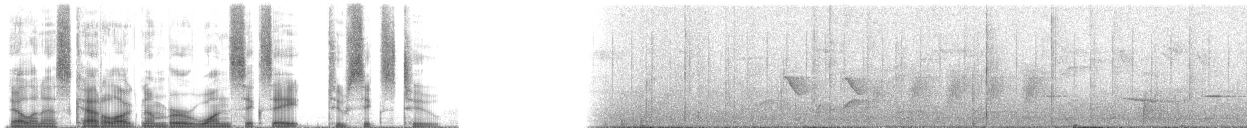 Southern Boubou - ML168262