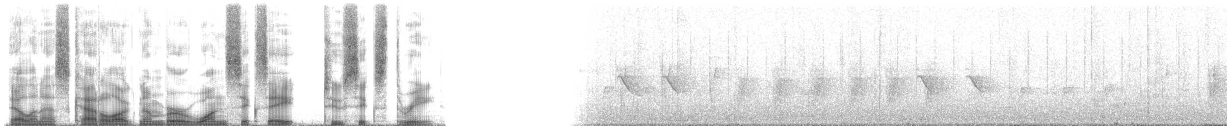 pěnicovec krátkoocasý - ML168263