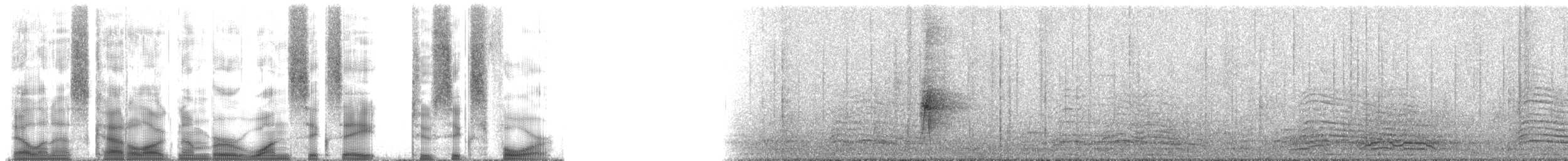 turako lesklohlavý - ML168264