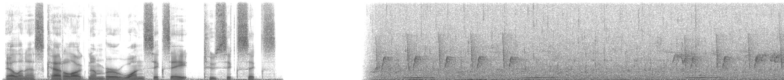 turako lesklohlavý - ML168266