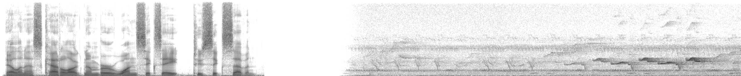 White-browed Scrub-Robin - ML168267