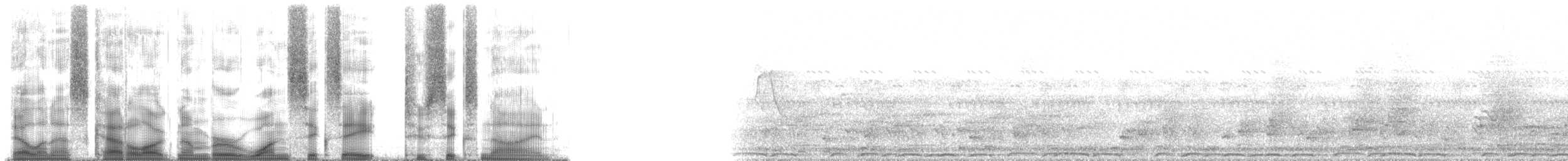 frankolín natalský - ML168269